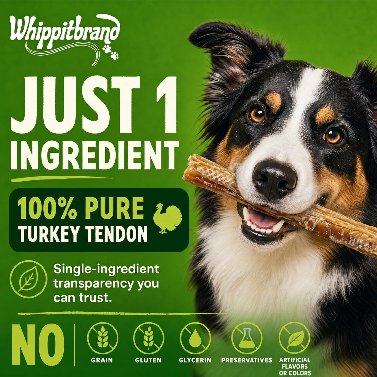 Whippit Brand Turkey Tendons for Dogs – 3 oz
