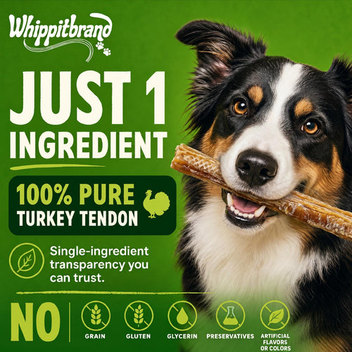 Whippit Brand Turkey Tendons for Dogs – 3 oz