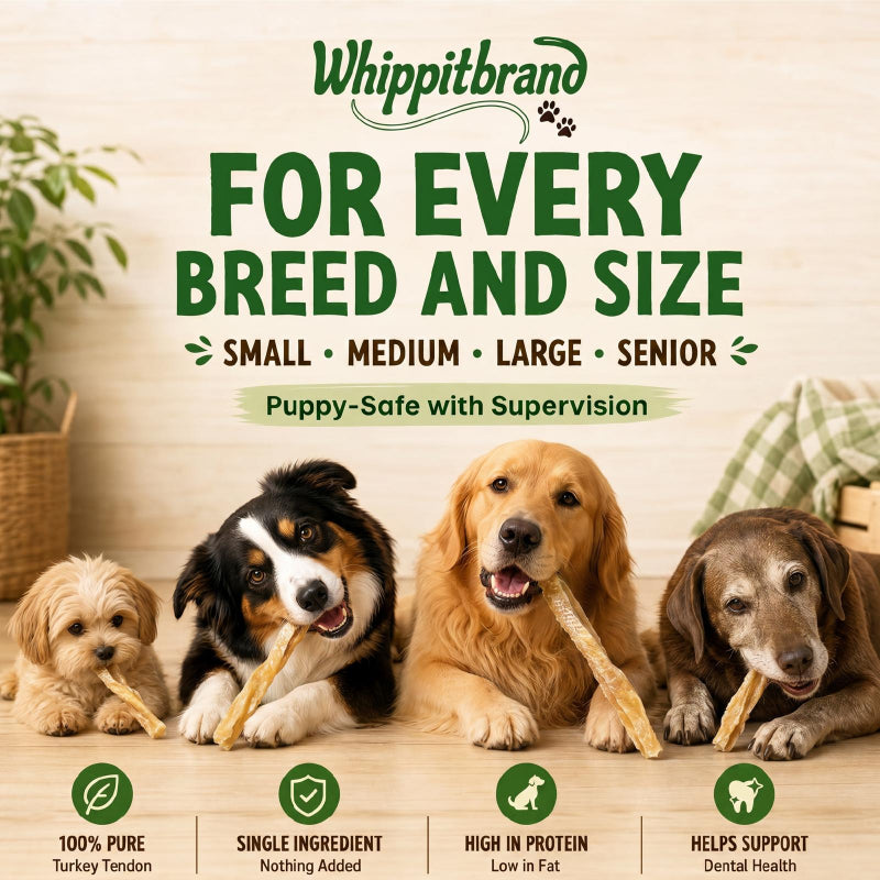 Whippit Brand Turkey Tendons for Dogs – 3 oz